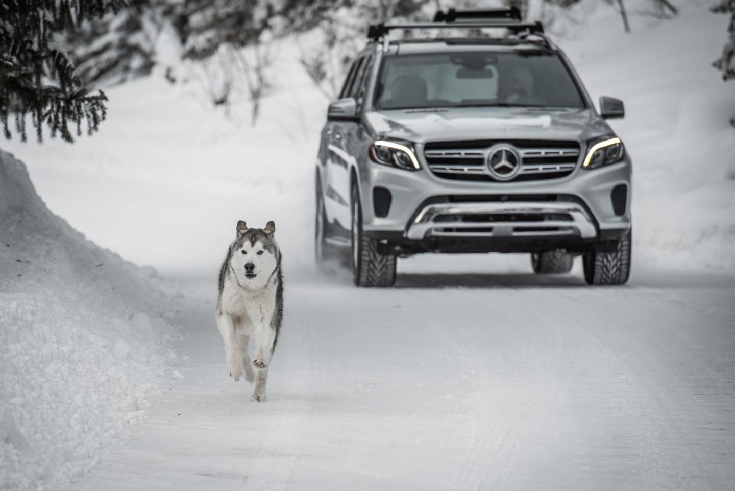 Mercedes-Benz Drives Two Virtual Reality Experiences
