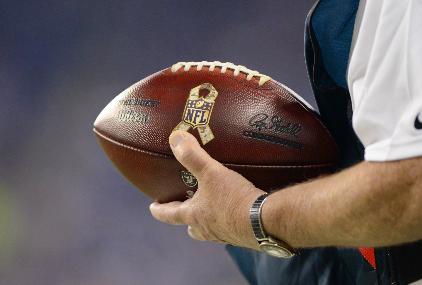 NFL Health Officials Attempted to Influence NIH Brain Study