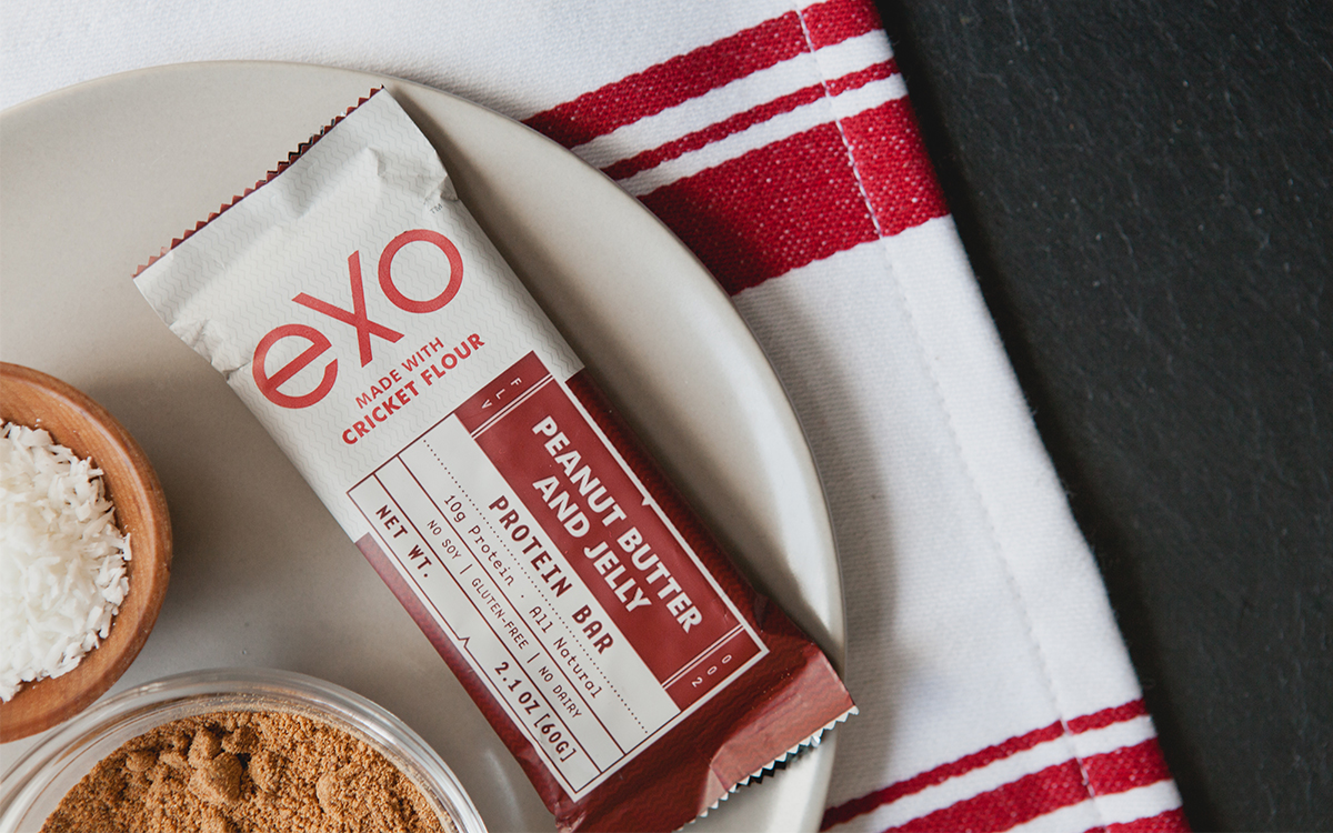 Cricket flour protein bar, eating insects