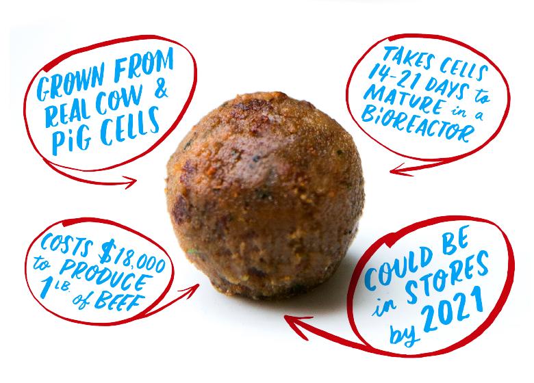 The Hottest Tech in Silicon Valley Made This Meatball