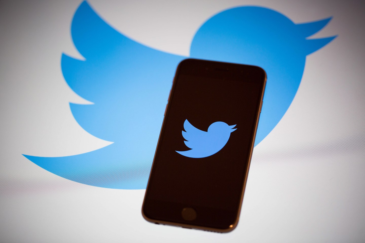 Twitter Locks Millions of Accounts After Password Leaks