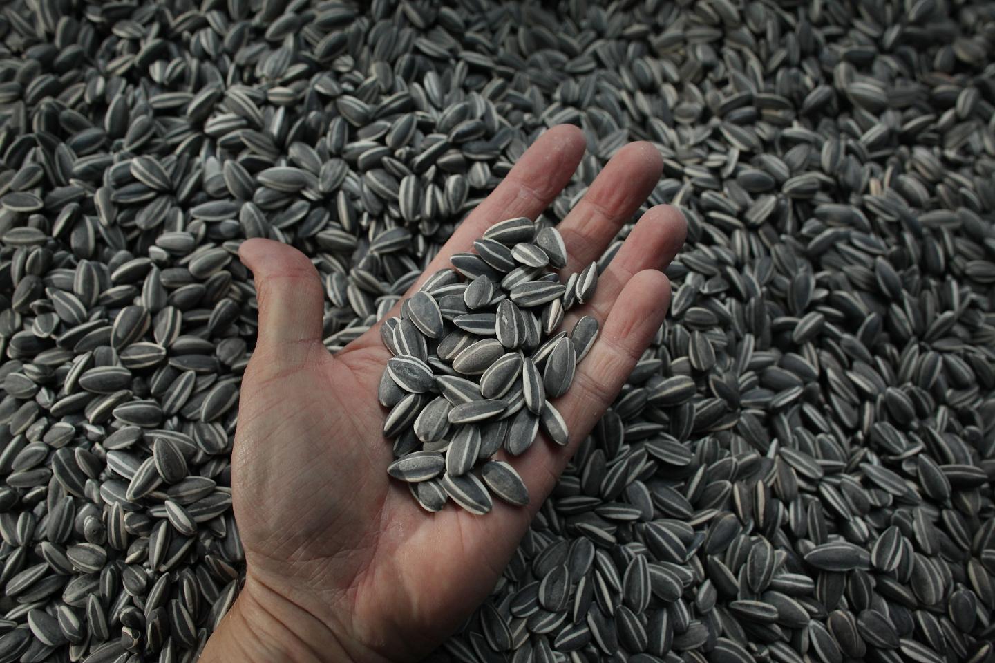 Chinese Artist Ai Weiwei Unveils This Year's Unilever Installation At The Tate Modern
