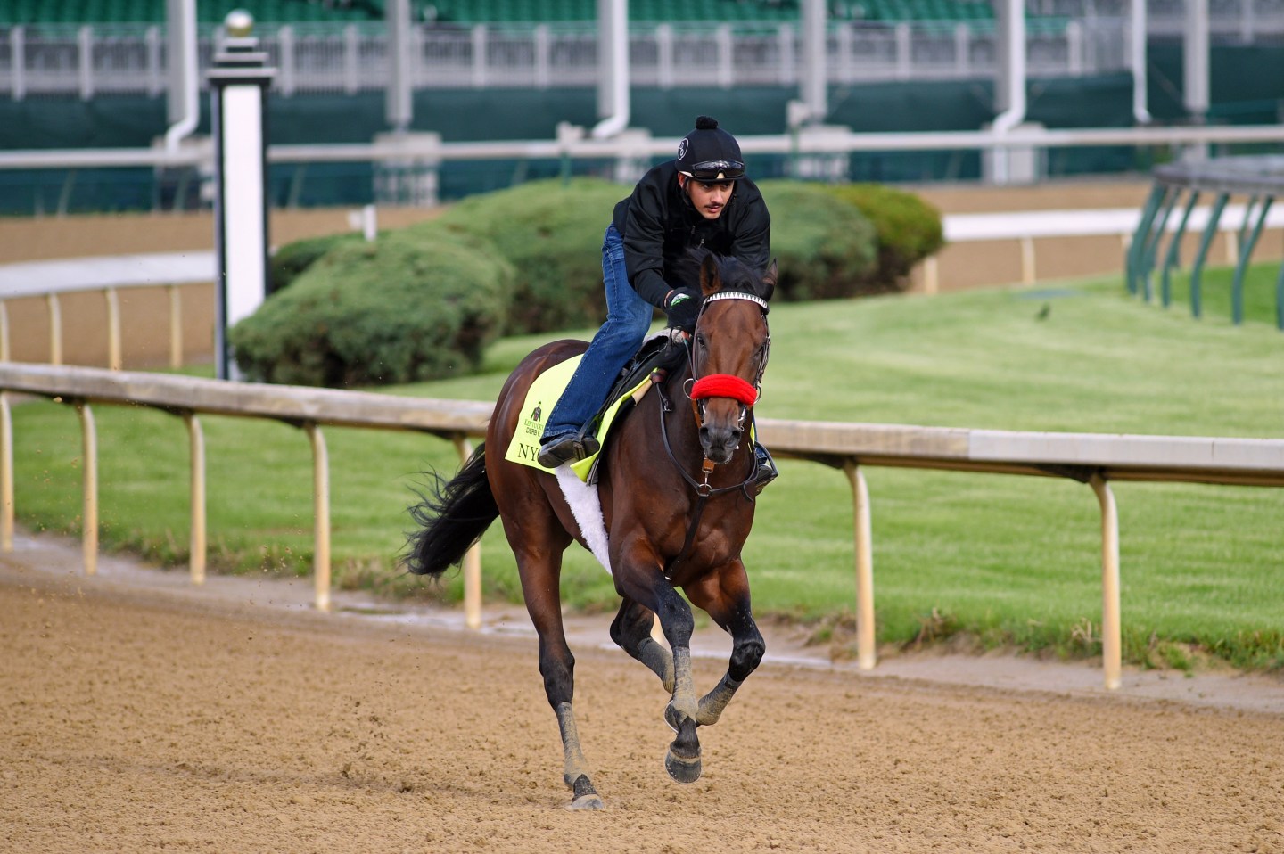Kentucky Derby Previews