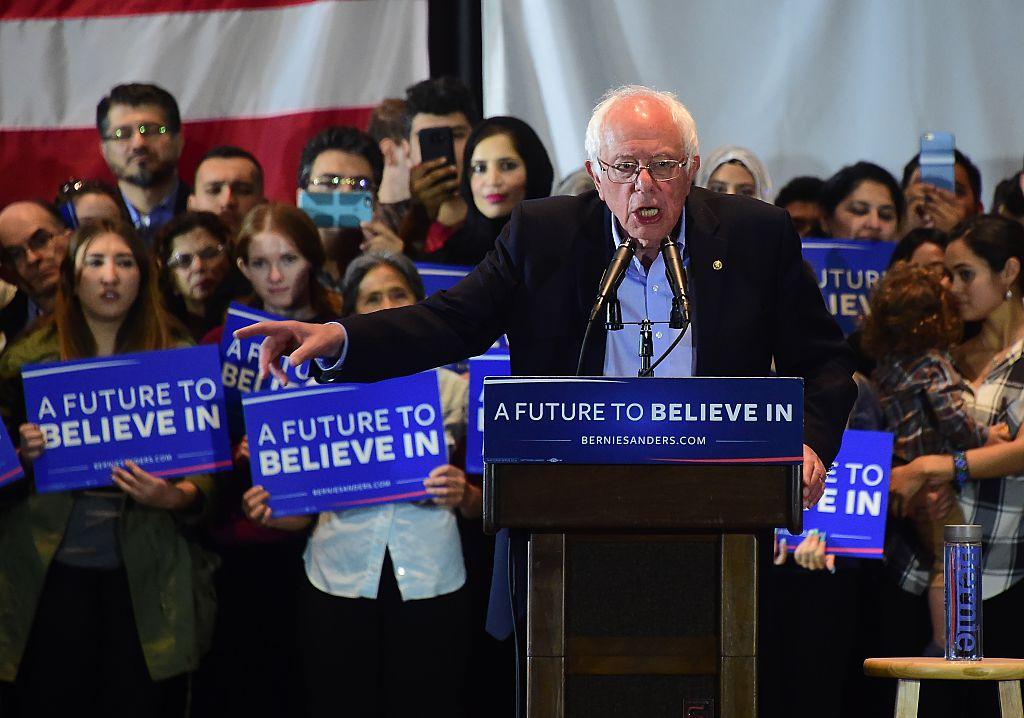 US-VOTE-DEMOCRATS-SANDERS