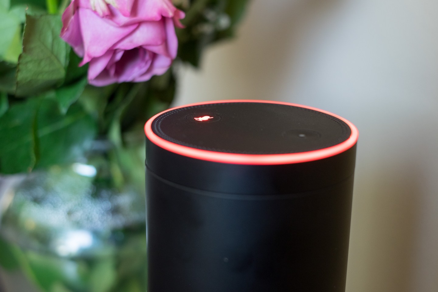 Amazon Echo with its microphone disabled.