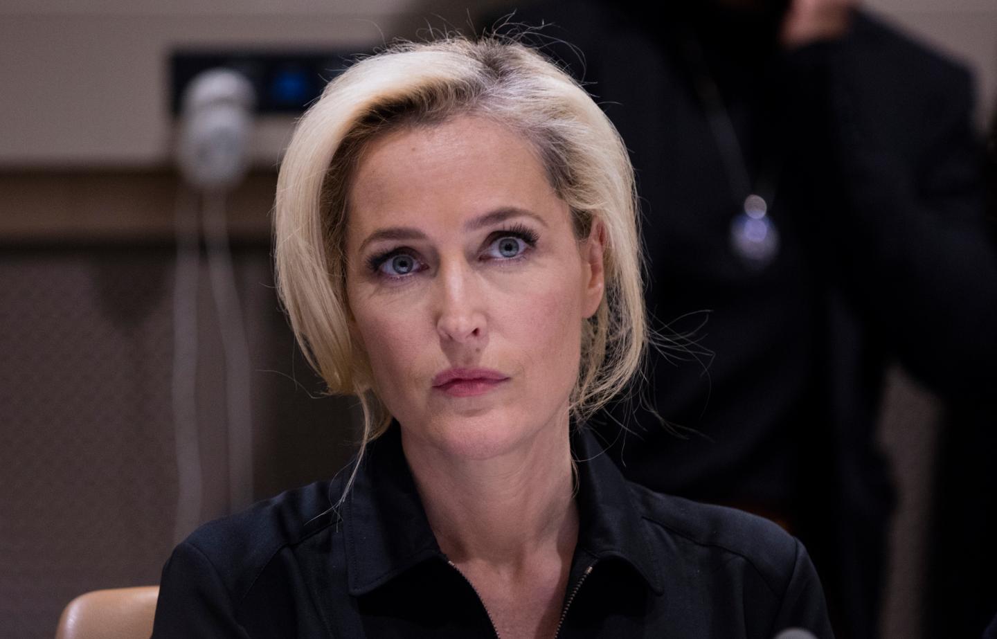 Award-winning actress Gillian Anderson (from the X-Files)