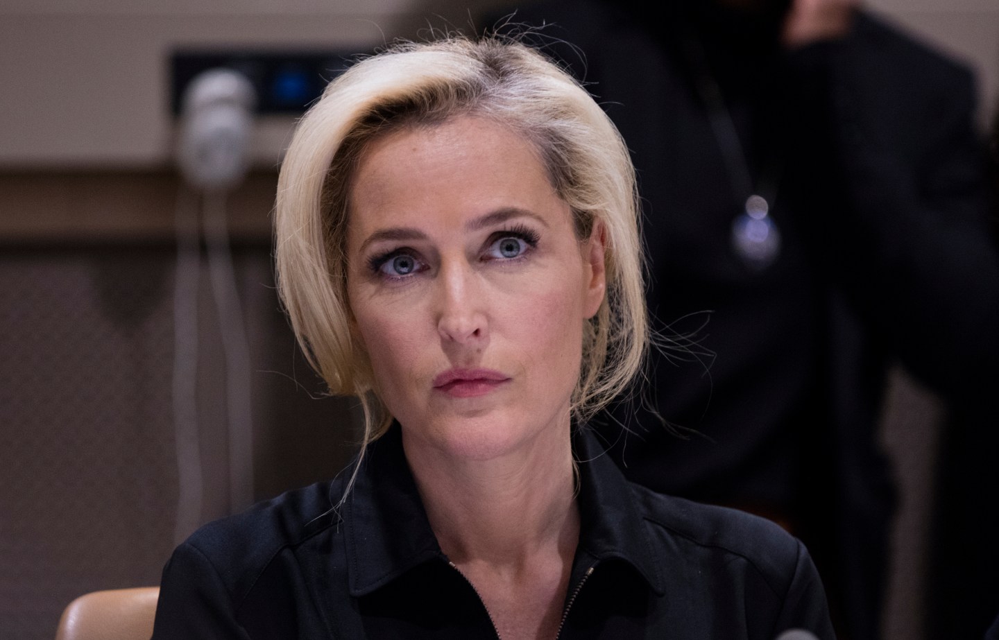 Award-winning actress Gillian Anderson (from the X-Files)