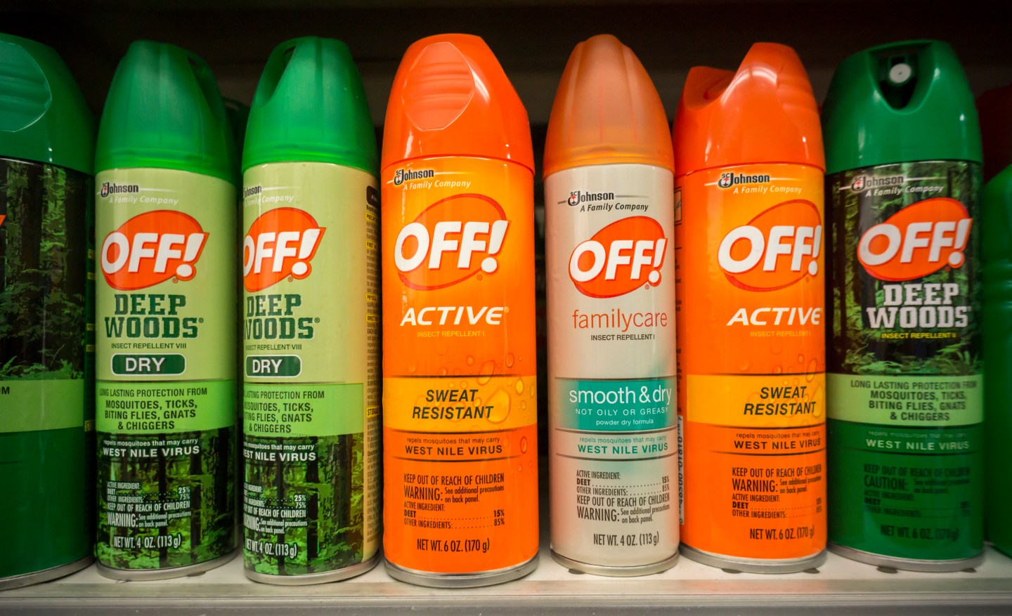 Mosquito-borne Zika virus spreading