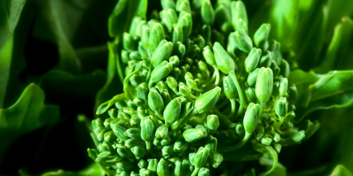 Kale Rabe Broccoli Rabe Wants to Be the Next Kale | Fortune