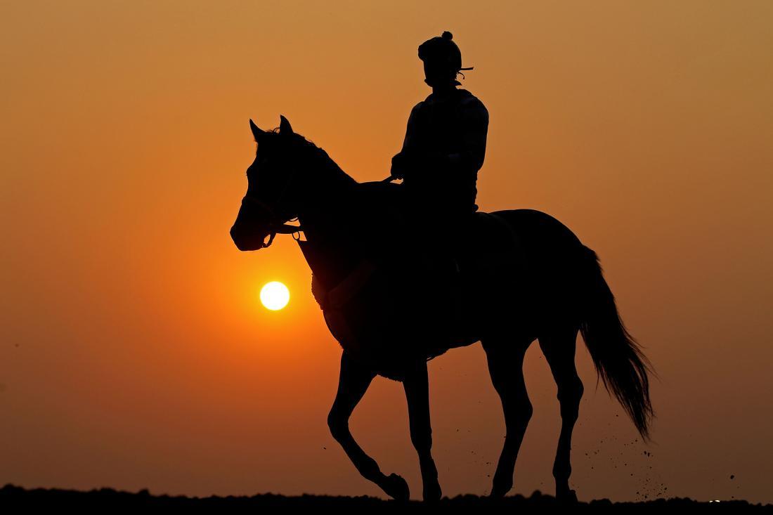 160610_em_belmont_stakes