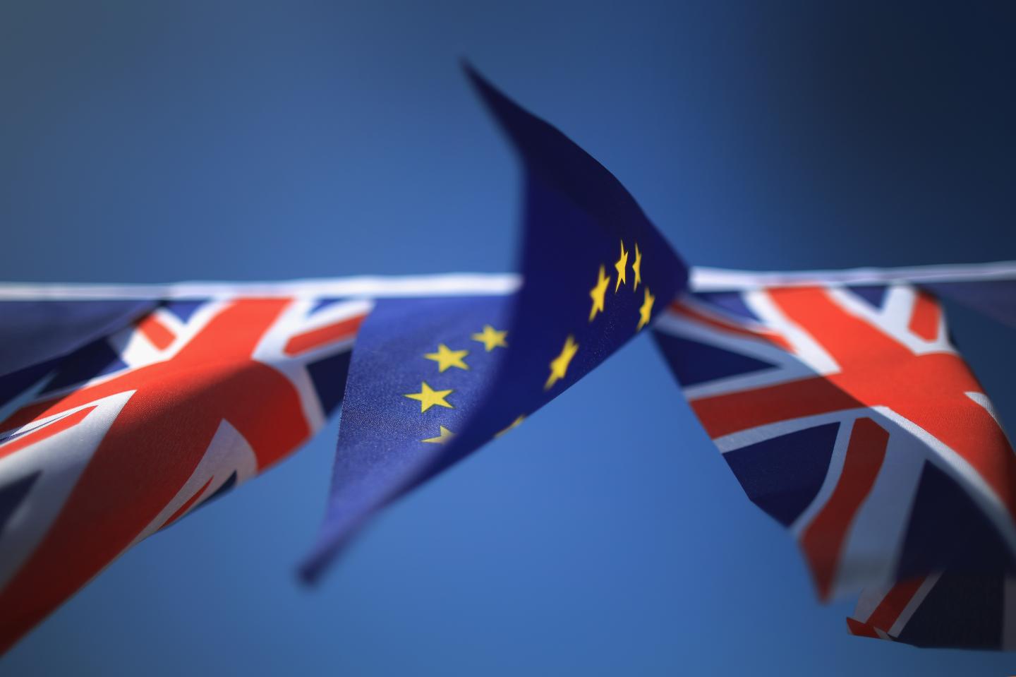 EU Referendum - Signage And Symbols
