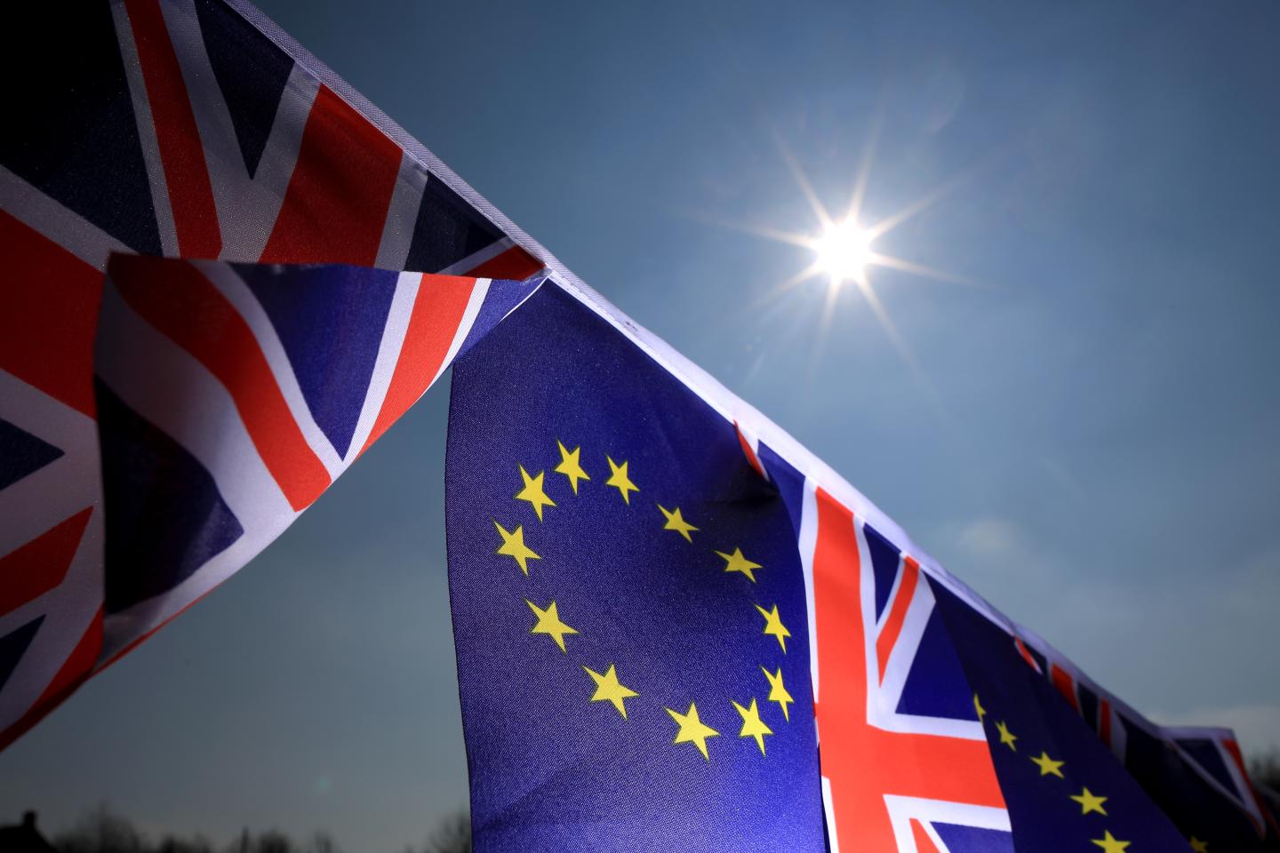 EU Referendum - Signage And Symbols