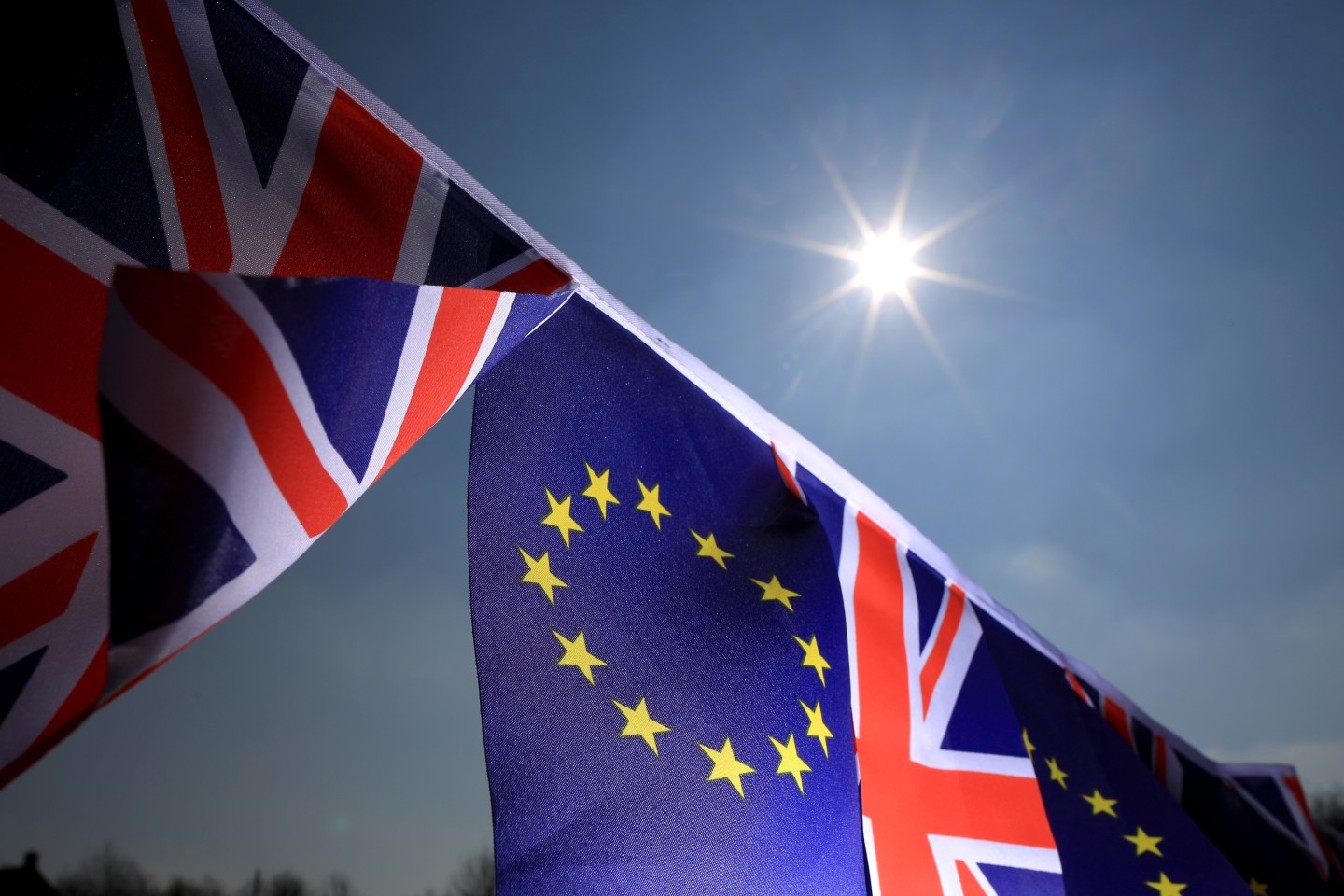 EU Referendum - Signage And Symbols