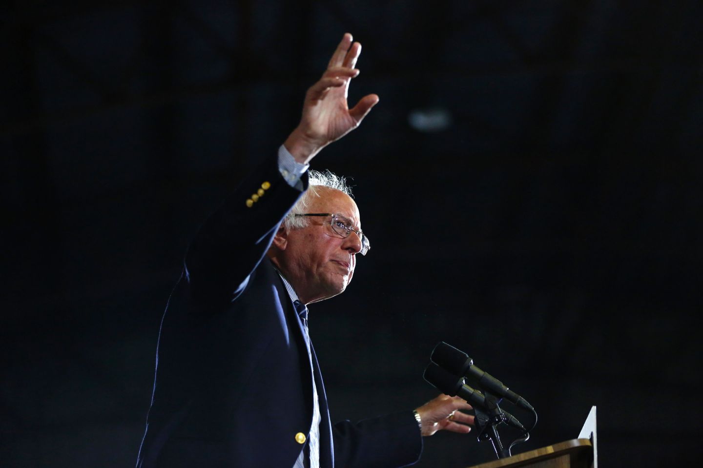 Sanders-US-Vote-Democrats