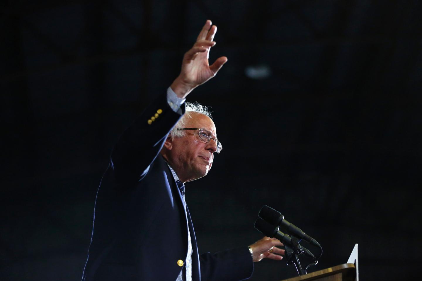 Sanders-US-Vote-Democrats