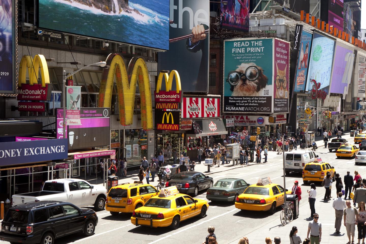 New York City daily life