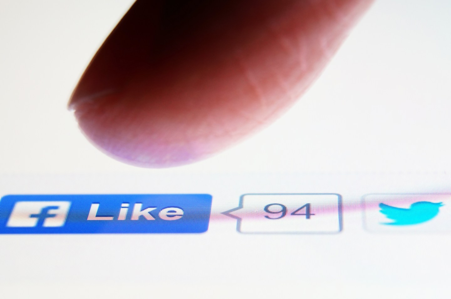 Social Media Life