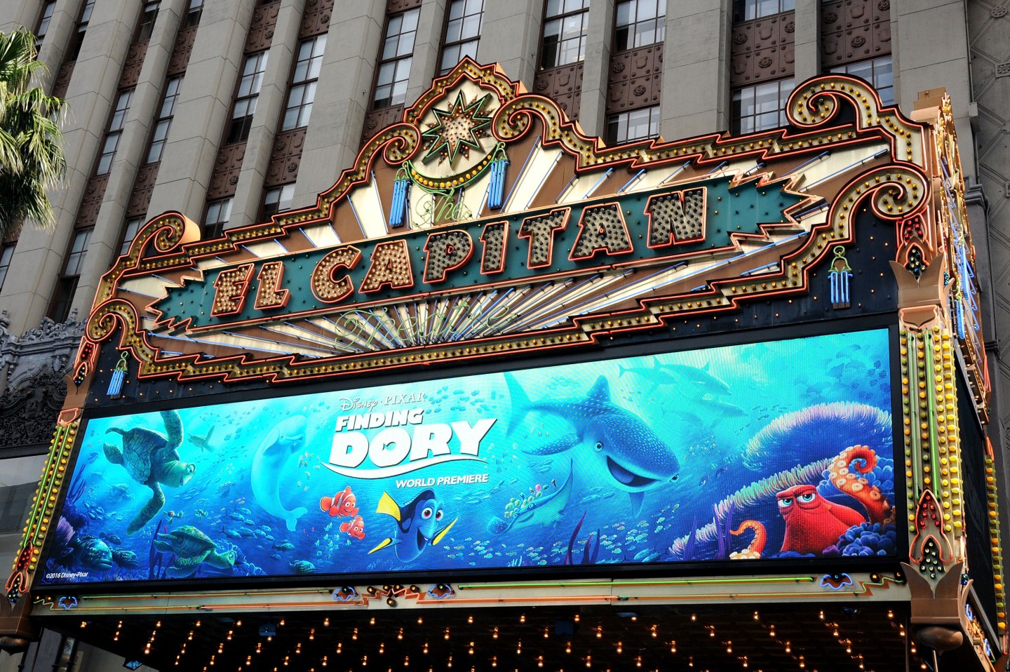 Premiere Of Disney's "Finding Dory" - Arrivals