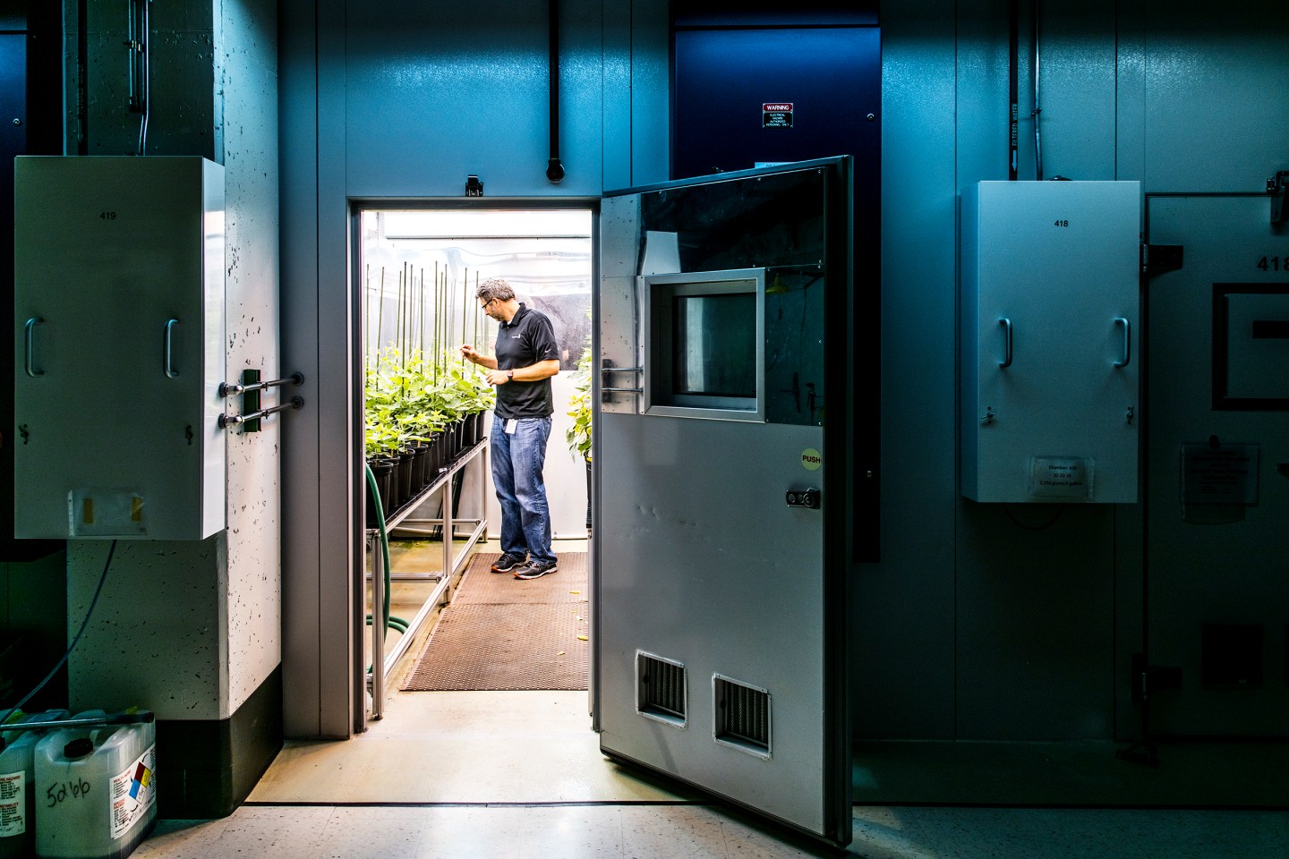 Ed Fischer, Chesterfield controlled environmental lead, checks on soybean plants in one of Monsanto's growth chambers at the company's facility in Chesterfield, Mo., on Thursday, May 5, 2016. Growth chambers allow the company to simulate different growing conditions, such as temperature, humidity and exposure to sun. Photo by Ryan Donnell