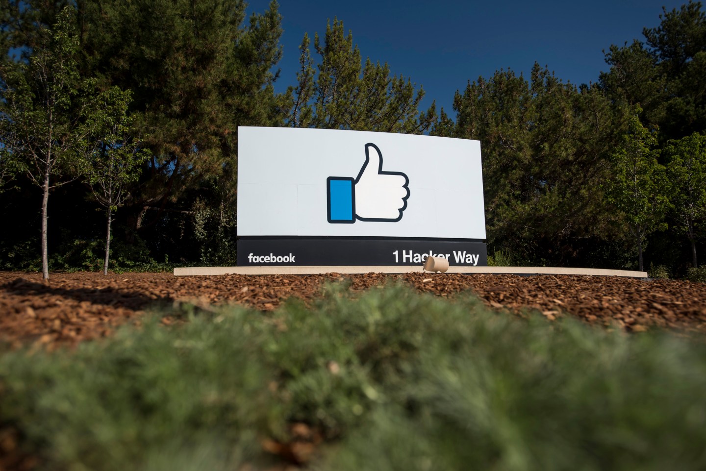 The Facebook Inc. Campus Ahead Of Earnings Figures