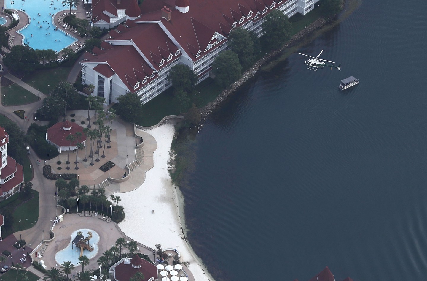 Alligator Snatches  2-Year-Old Boy From Lake At Disney Resort