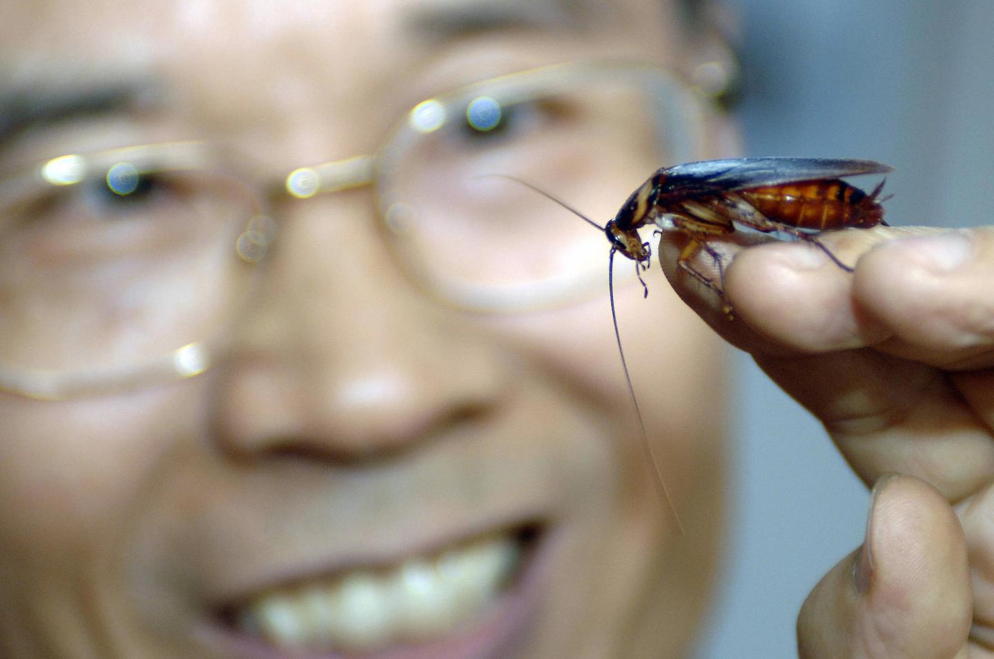 This photo dated 13 March, 2007 shows a