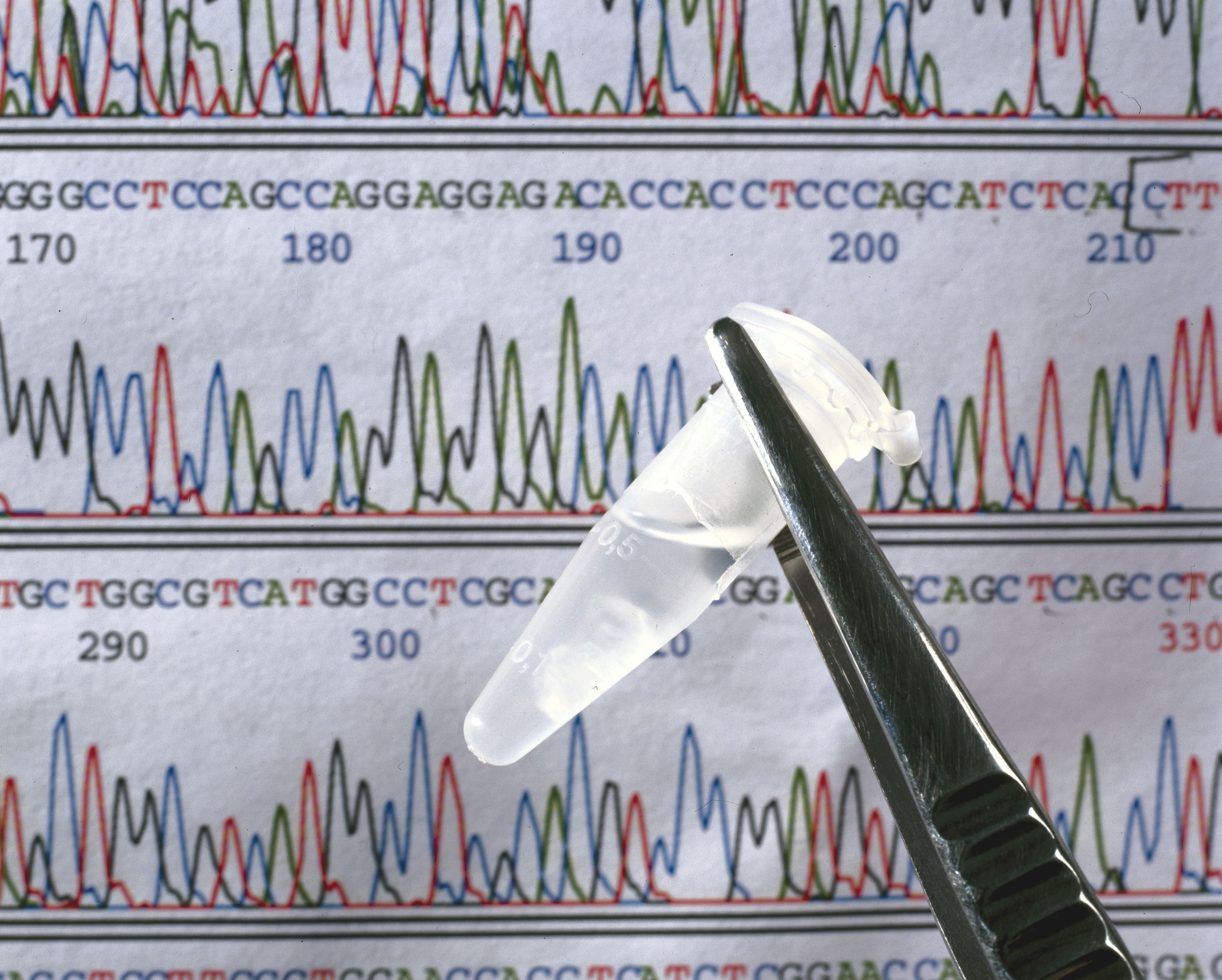 Blockchain Meets Genetic Testing in Startup Nebula Genomics | Fortune