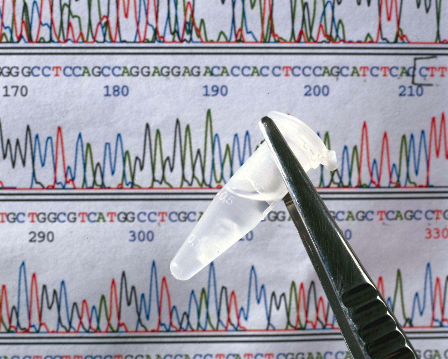 DNA sequence and sample of DNA, September 2000.