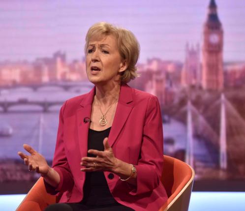 Andrea Leadsom is seen appearing on the BBC's Andrew Marr Show in this photograph received via the BBC in London