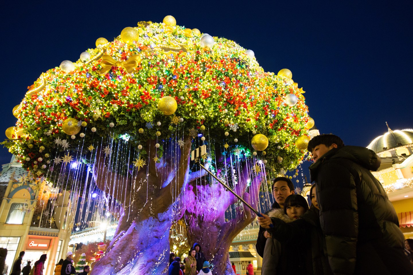 Inside Samsung Everland Amusement Park