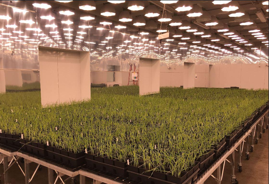This Bug Startup Just Raised $100 Million To Fight Hunger