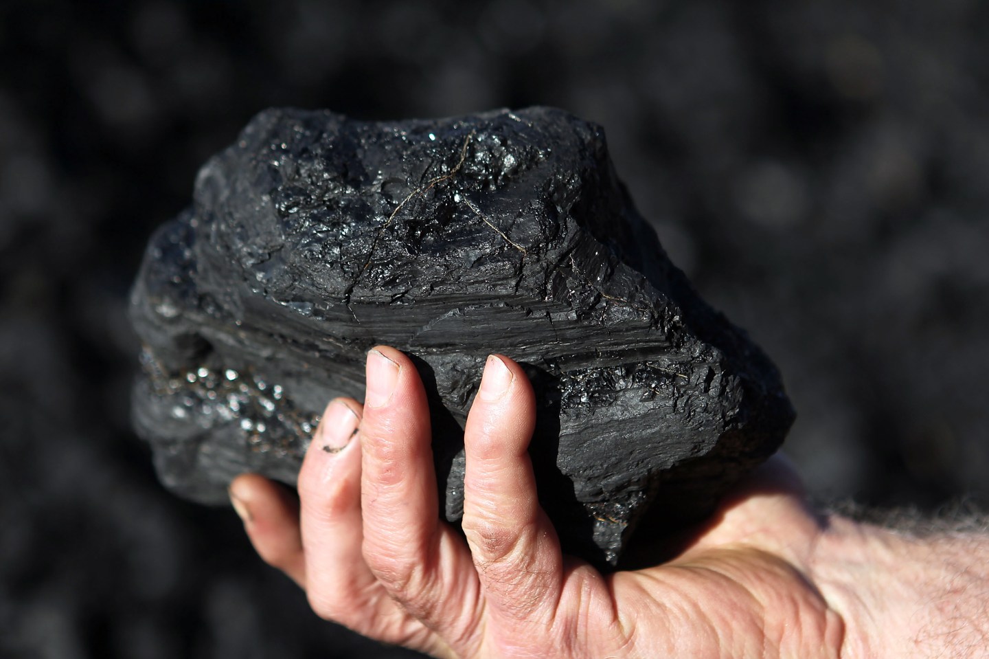 Visit To Centennial Coal Co.'s Myuna Operations