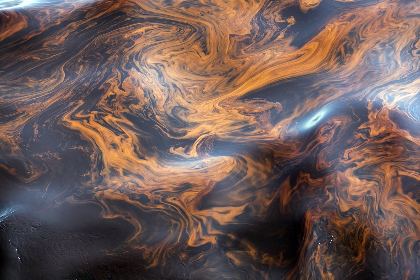 British Petroleum's Oil Spill