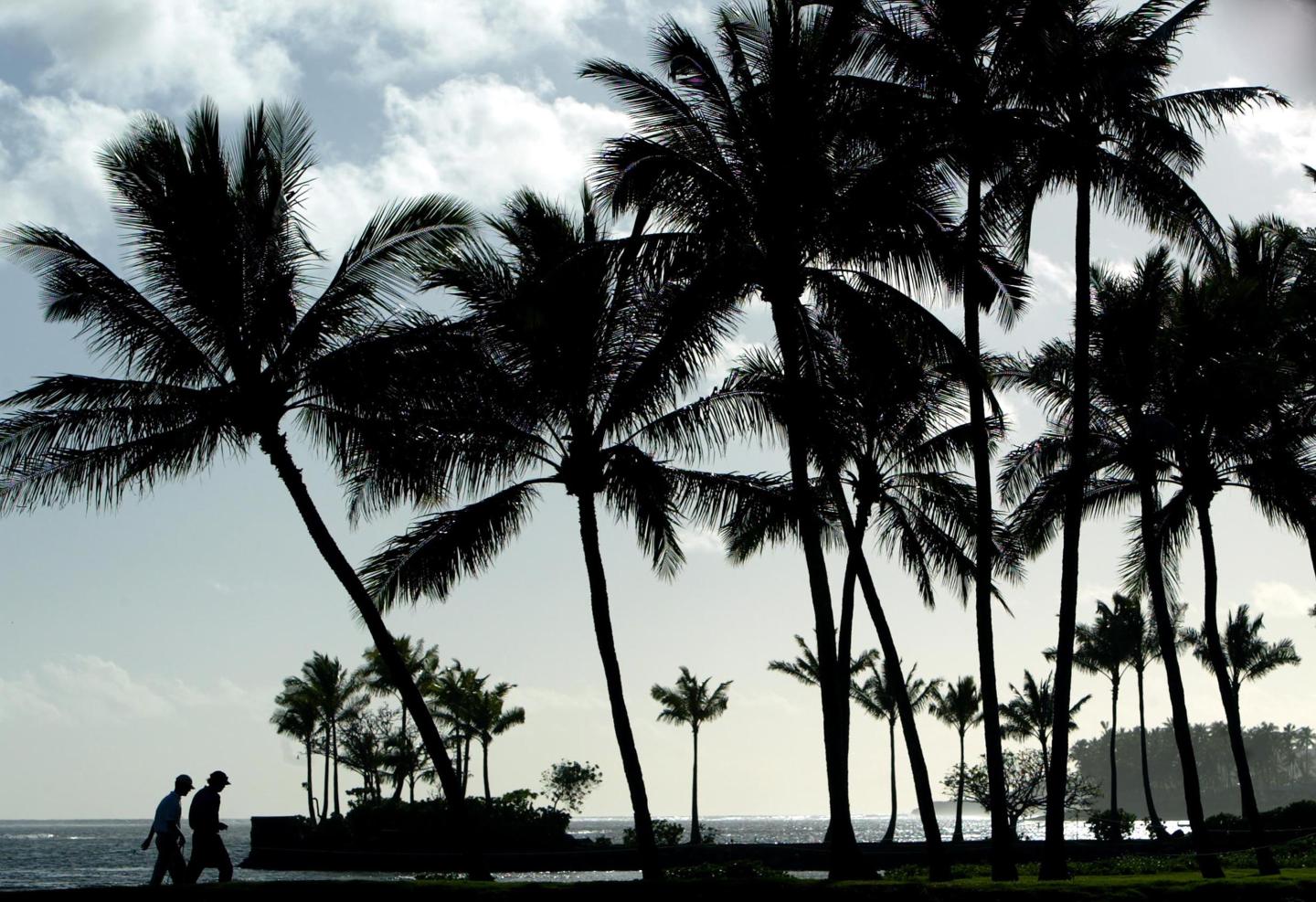 Sony Open