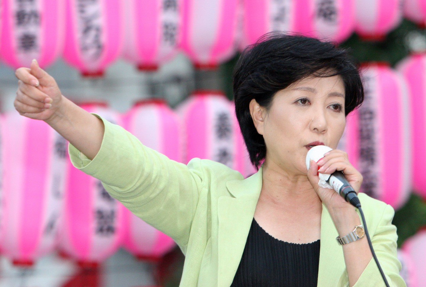 Liberal Democratic Party (LDP) 'Madonna' Candidates