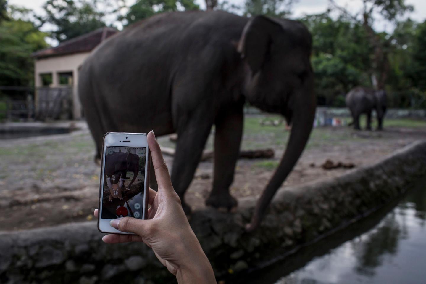 Pokemon-Mania Takes Indonesia By Storm