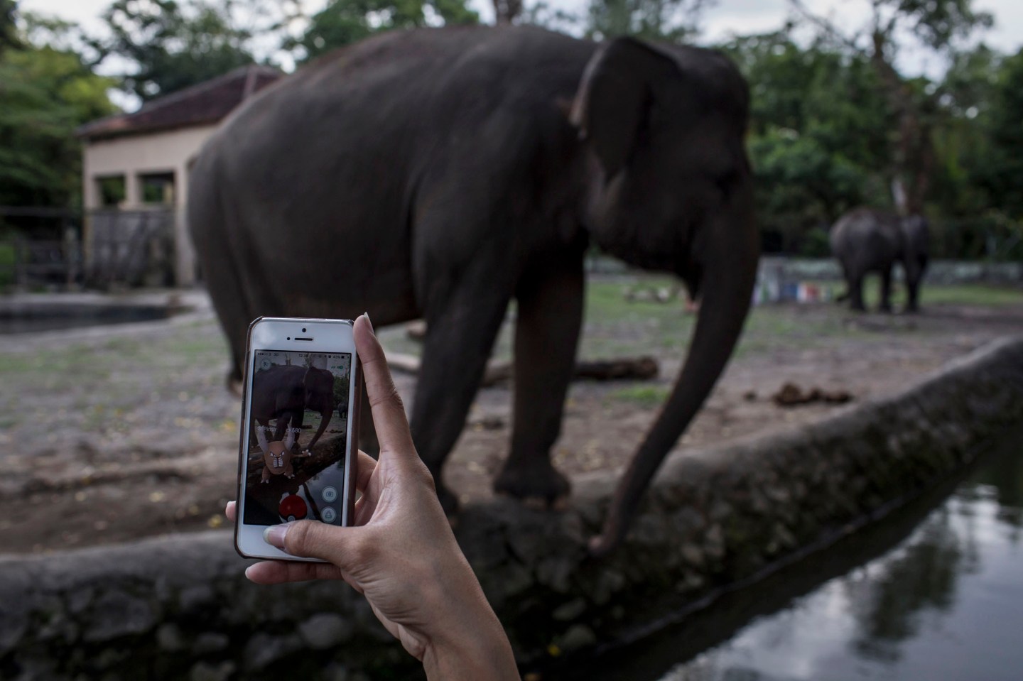 Pokemon-Mania Takes Indonesia By Storm