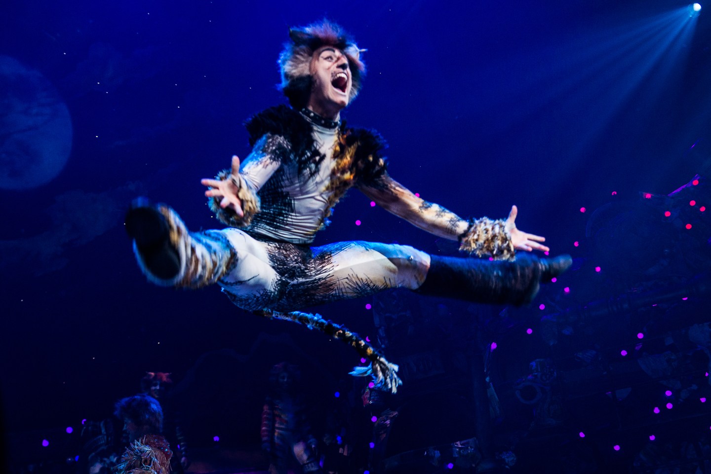 The First-Ever Revival of Andrew Lloyd Webber's Iconic CATS Opens on Broadway