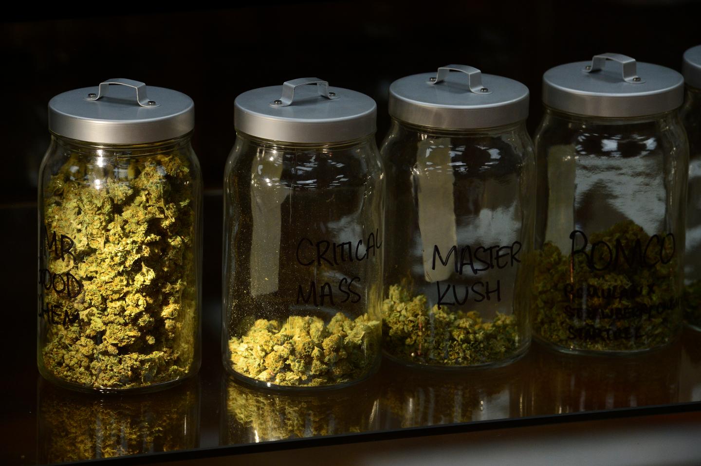 Federal Heights medical marijuana