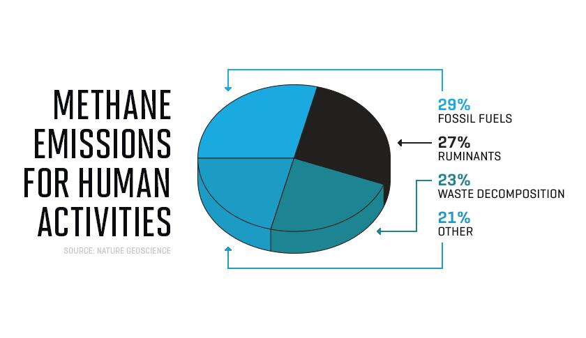 This Chart Shows How Your Cheeseburger Is Connected to Climate Change
