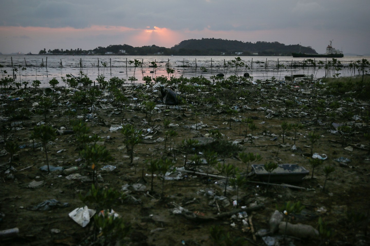 Rio De Janeiro Prepares For 2016 Summer Olympics