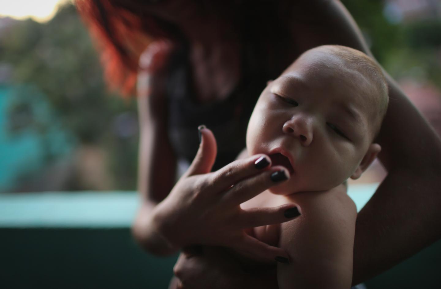 Brazil Faces New Health Epidemic As Mosquito-Borne Zika Virus Spreads Rapidly