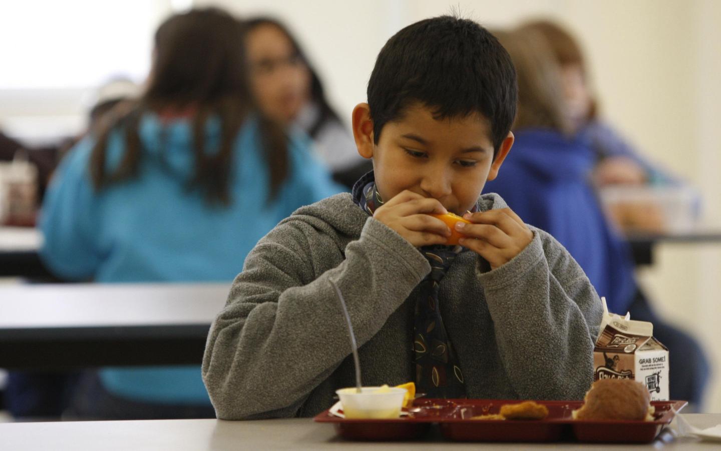 School lunch waiver