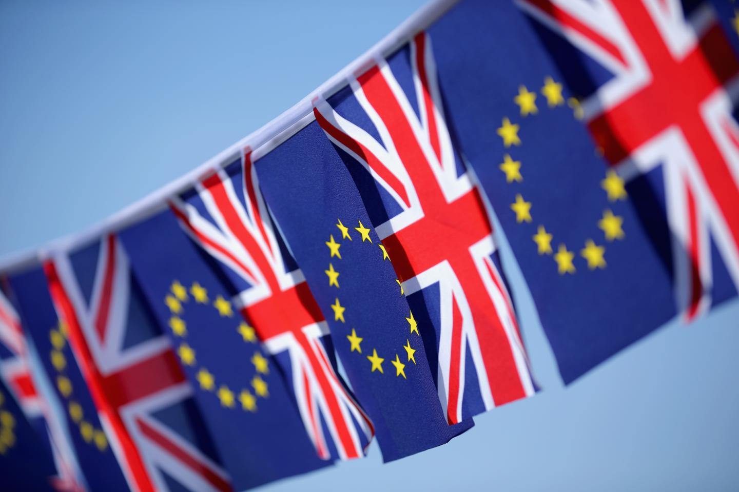 EU Referendum - Signage And Symbols