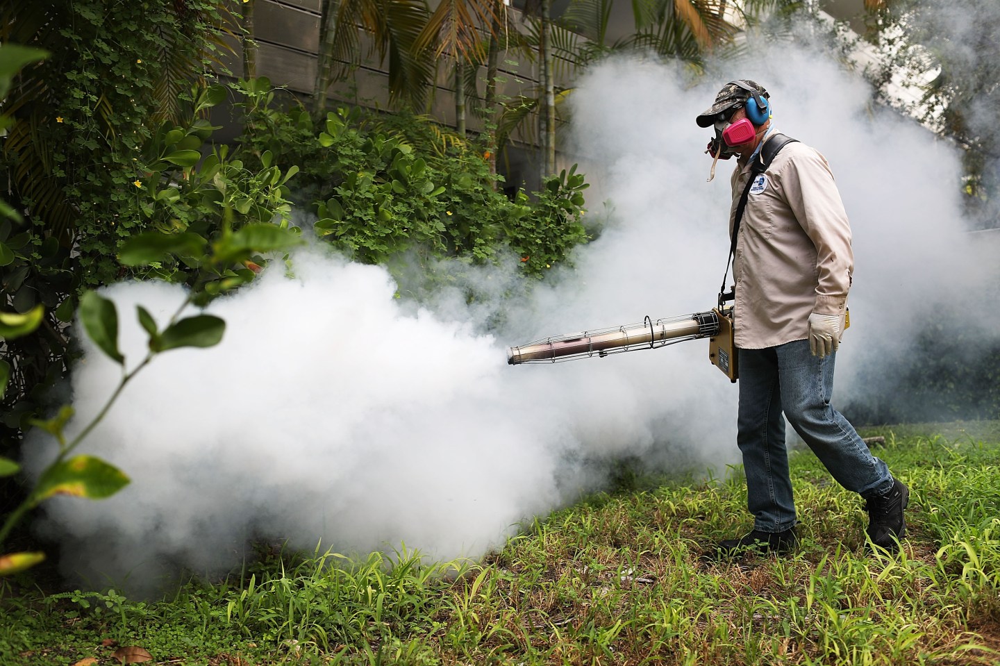 Miami Beach Sprays To Combat Zika Virus Carrying Mosquitoes