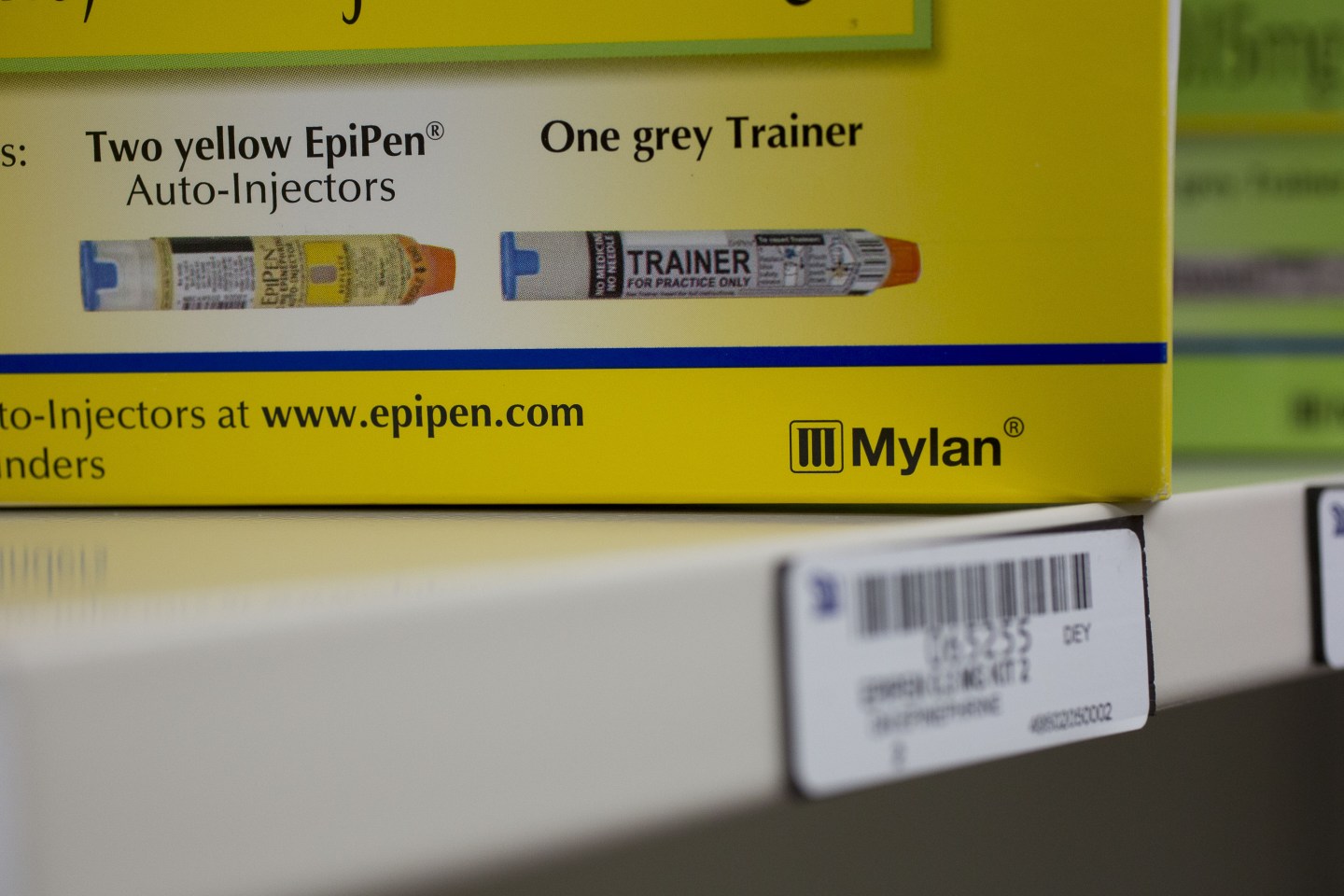 Mylan's stock is the lowest it's been in at least 30 years, as CEO Heather Bresch gets ready to testify over EpiPen price hike.