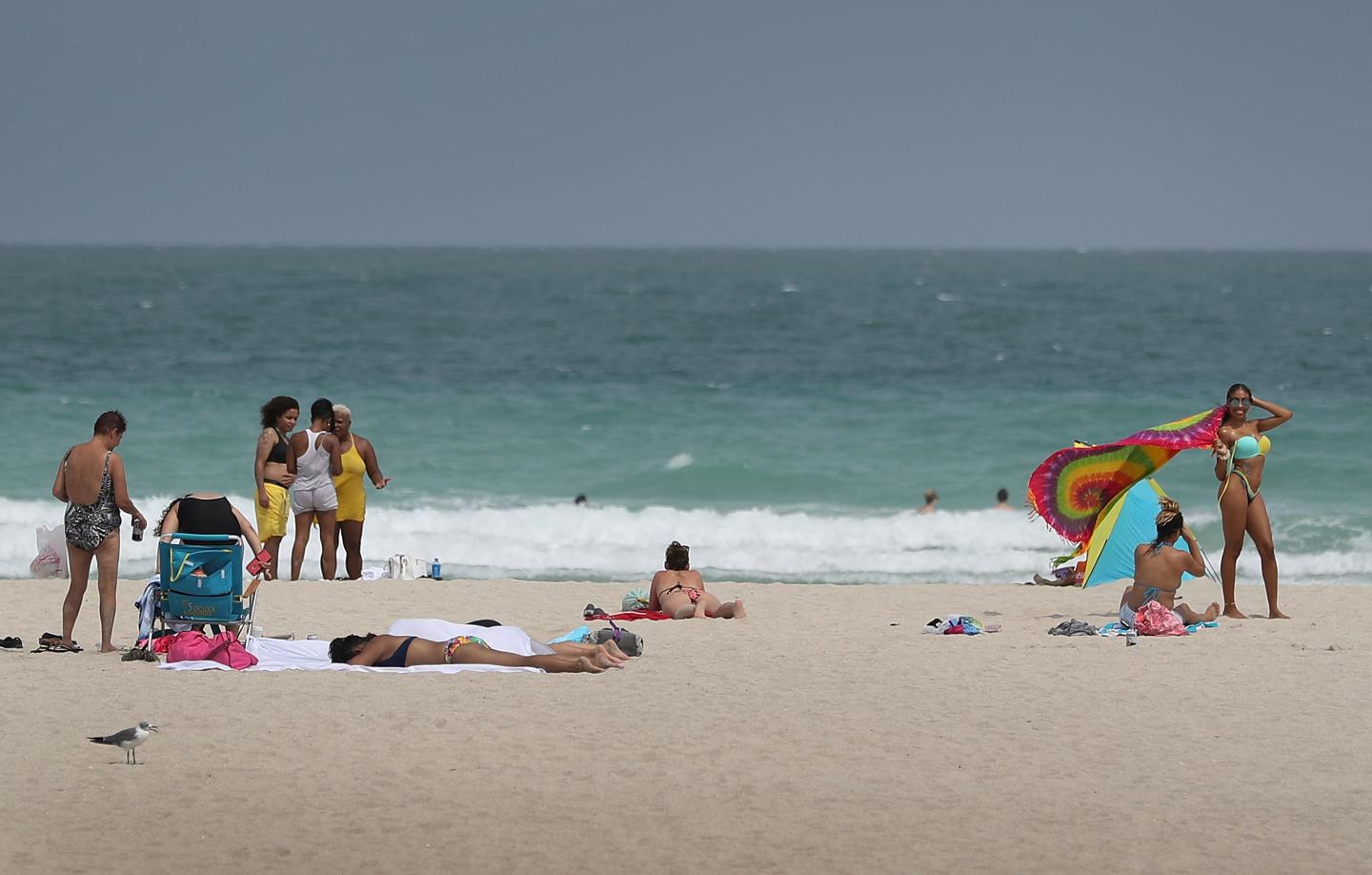 Miami Beach Mosquitoes Test Positive For Zika Virus