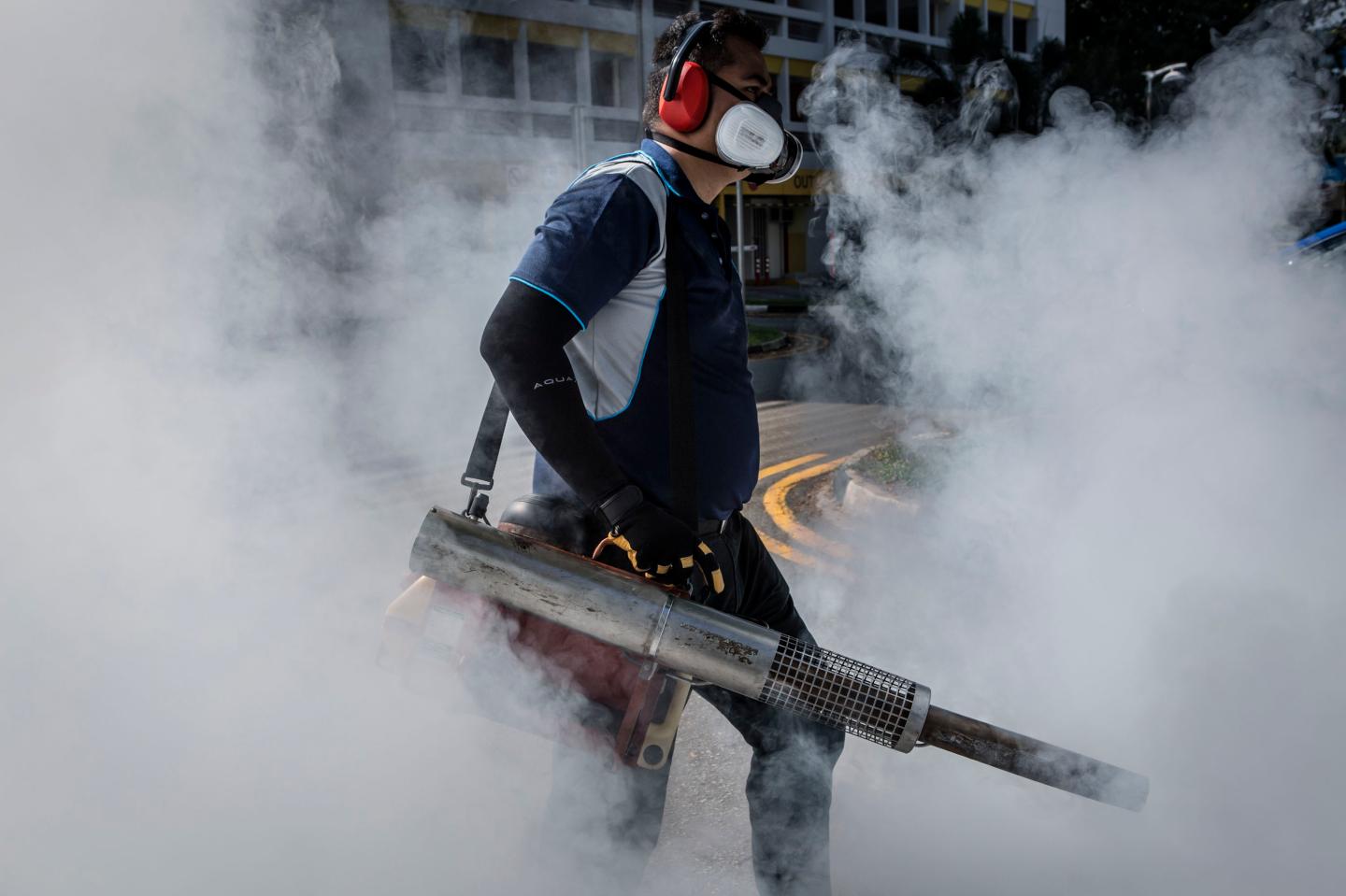 Zika Virus Spreads In Singapore And Neighbouring Countries