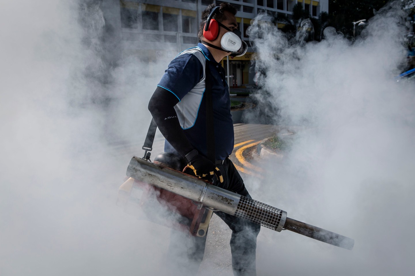 Zika Virus Spreads In Singapore And Neighbouring Countries