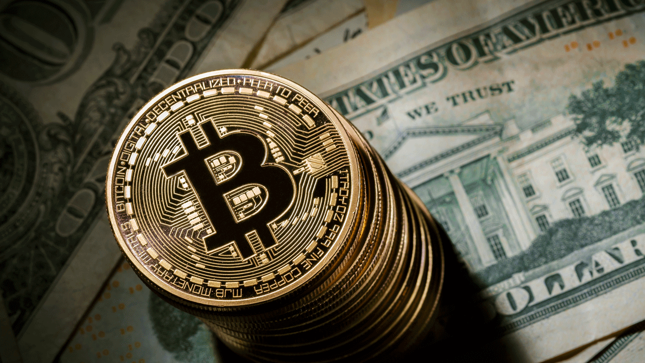This Firm Just Raised the Most Money Yet for an Indian Bitcoin Startup